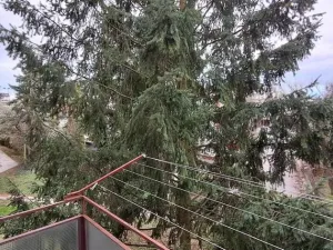 Pronájem bytu 3+1, Olomouc, Fragnerova, 61 m2