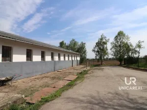 Pronájem skladu, Holubice, 1760 m2