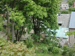 Prodej obchodního prostoru, Jáchymov, Mincovní, 406 m2