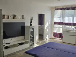 Prodej bytu 3+1, Ústí nad Labem - Mojžíř, Jindřicha Plachty, 77 m2