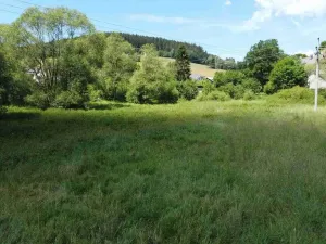 Prodej pozemku, Hartmanice, 501 m2