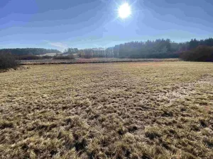 Prodej pole, Kváskovice, 10470 m2