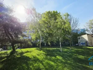 Pronájem bytu 3+1, Praha, Plamínkové, 67 m2