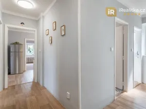 Prodej bytu 3+1, Pardubice - Bílé Předměstí, Ke Kamenci, 73 m2