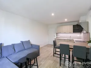 Pronájem bytu 2+kk, Praha - Vinohrady, Mánesova, 46 m2