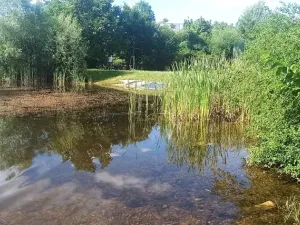 Prodej bytu 3+kk, Brno, Mírová, 66 m2