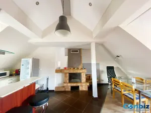 Pronájem bytu 3+kk, Praha - Podolí, Podolská, 125 m2