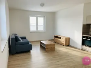 Pronájem bytu 1+kk, Olomouc, 30 m2