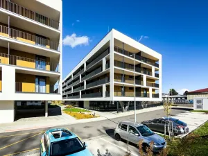 Pronájem bytu 1+kk, České Budějovice, Vrbenská, 32 m2