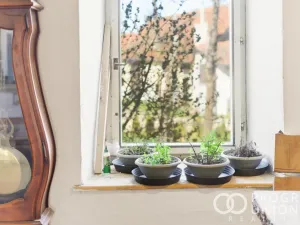 Prodej rodinného domu, Nová Cerekev - Chmelná, 54 m2