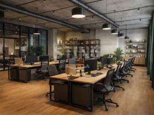 Pronájem obchodního prostoru, Ostrava, Denisova, 530 m2