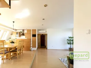 Pronájem bytu 5+kk, Brno, Slámova, 150 m2