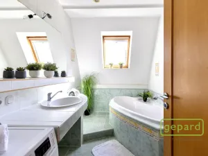 Pronájem bytu 5+kk, Brno, Slámova, 150 m2