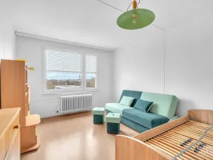 Pronájem bytu 1+1, Hradec Králové, Jungmannova, 45 m2