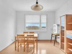 Pronájem bytu 1+1, Hradec Králové, Jungmannova, 45 m2