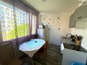 Prodej bytu 4+1, Krupka - Maršov, Karla Čapka, 99 m2