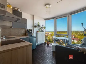 Pronájem bytu 2+1, Plzeň - Litice, Klatovská, 40 m2