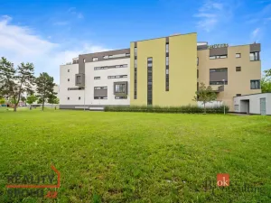 Pronájem bytu 1+kk, Hradec Králové - Nový Hradec Králové, Kejzlarova, 31 m2