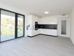 Pronájem bytu 2+kk, Praha, Kotlaska, 57 m2