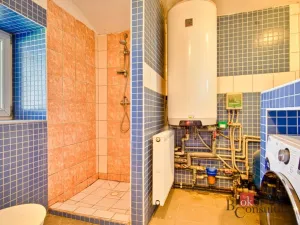 Prodej rodinného domu, Opařany - Oltyně, 105 m2