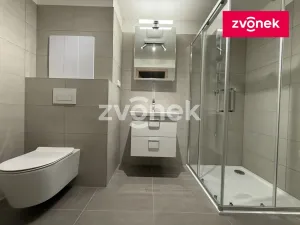 Pronájem bytu 1+kk, Zlín, Nad Stráněmi, 32 m2