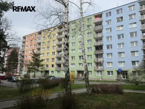 Pronájem bytu 1+kk, Plzeň, Hrádecká, 20 m2