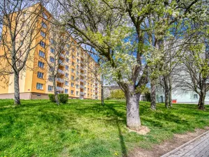 Pronájem bytu 2+1, Jirkov, Studentská, 57 m2