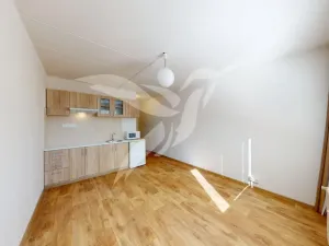 Pronájem bytu 1+kk, Horní Bříza, U Vrbky, 24 m2