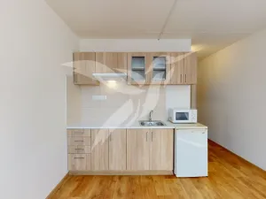 Pronájem bytu 1+kk, Horní Bříza, U Vrbky, 24 m2