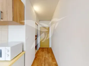 Pronájem bytu 1+kk, Horní Bříza, U Vrbky, 24 m2