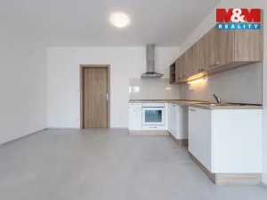 Pronájem bytu 1+kk, Vojkov, 42 m2