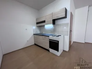 Pronájem bytu 1+kk, Hodonín, Národní třída, 50 m2