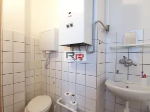 Pronájem bytu 1+1, Olomouc, Starodružiníků, 52 m2