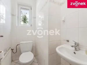 Prodej rodinného domu, Březnice, 207 m2