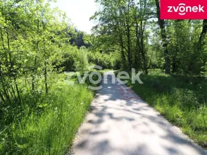 Prodej louky, Brumov-Bylnice - Brumov, 497 m2