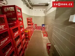 Prodej obchodního prostoru, Holešov, Novosady, 500 m2