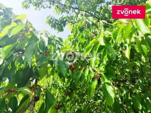 Prodej pozemku pro bydlení, Kroměříž - Těšnovice, 1386 m2