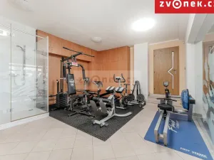 Prodej vily, Hranice, Pod Bílým kamenem, 540 m2