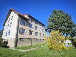 Prodej bytu 2+1, Blatná, Čechova, 59 m2