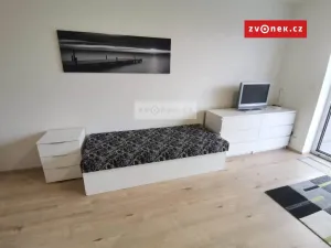 Pronájem bytu 1+kk, Zlín - Malenovice, třída Svobody, 37 m2