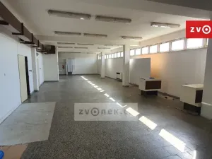 Pronájem obchodního prostoru, Spytihněv, 442 m2