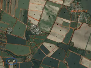 Prodej pozemku, Malovice, 4000 m2