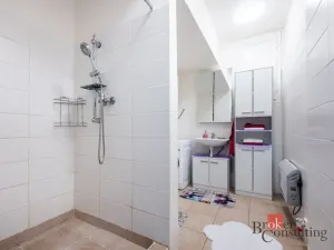 Prodej bytu 1+1, Ostrava - Mariánské Hory, Korunní, 48 m2