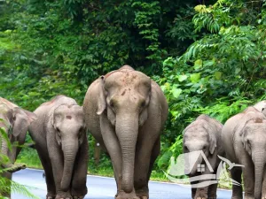 Prodej bytu 2+kk, Pattaya, Thajsko, 36 m2