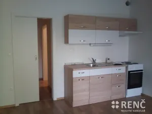 Pronájem bytu 1+kk, Brno, Francouzská, 41 m2