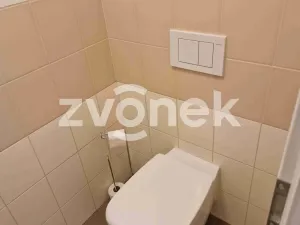 Pronájem kanceláře, Otrokovice, 100 m2