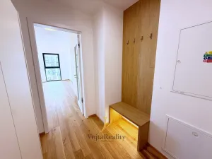 Pronájem bytu 1+kk, Olomouc, Ostrovní, 45 m2