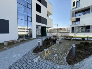 Pronájem bytu 1+kk, Olomouc, Ostrovní, 45 m2
