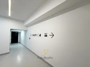 Pronájem bytu 1+kk, Olomouc, Ostrovní, 45 m2