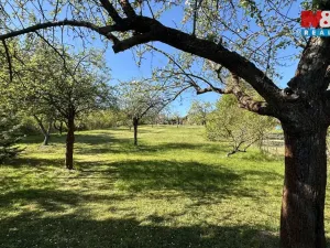 Prodej pozemku pro bydlení, Oskořínek, Ronovská, 1594 m2